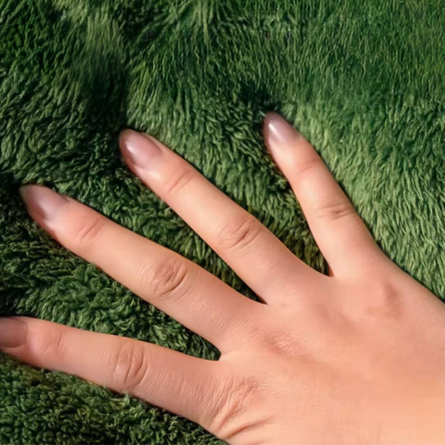 Autumn–Winter Plush Pet Nest – Washable, Warm & Designed for Rest