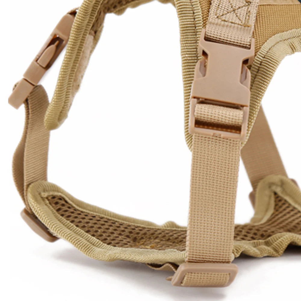 Adventure Cat Harness – Secure Vest with Leash & Patches