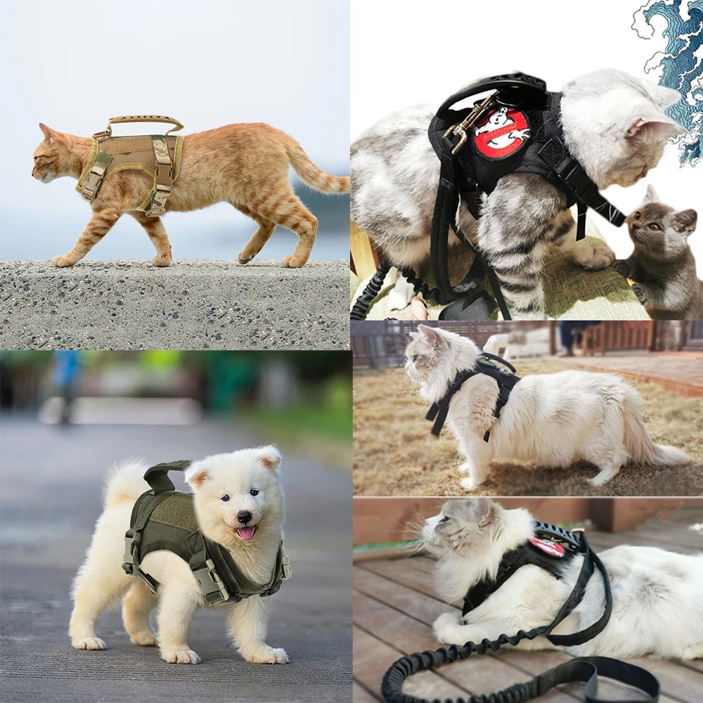 Adventure Cat Harness – Secure Vest with Leash & Patches