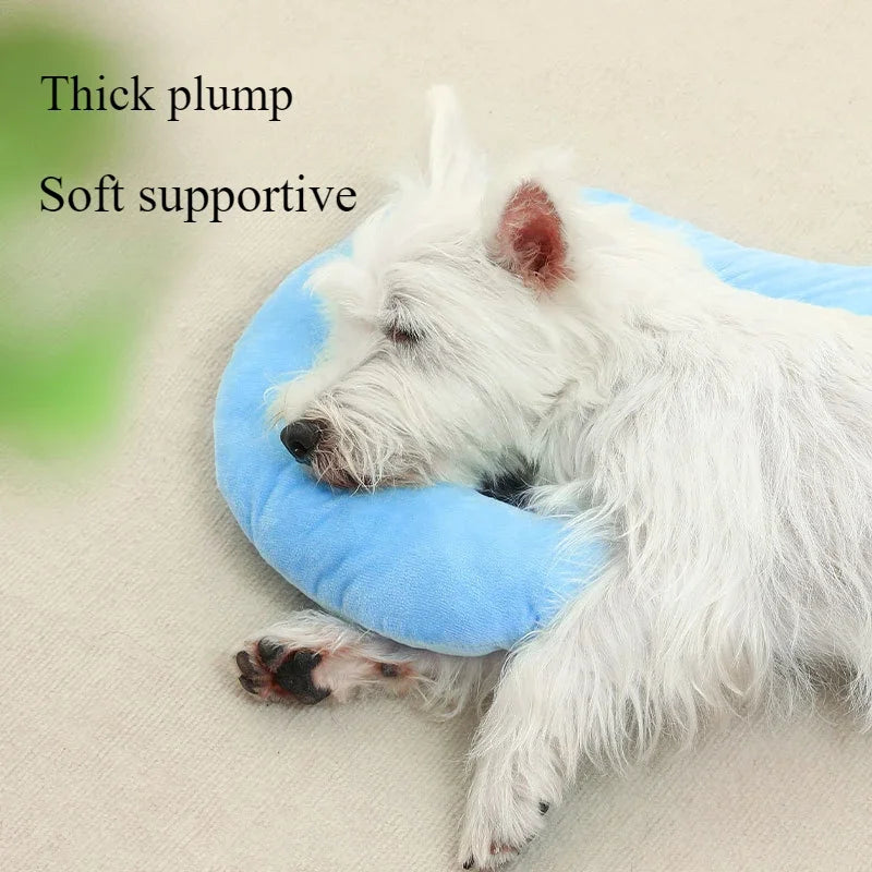 Almohada y manta para perros: comodidad para las cuatro estaciones