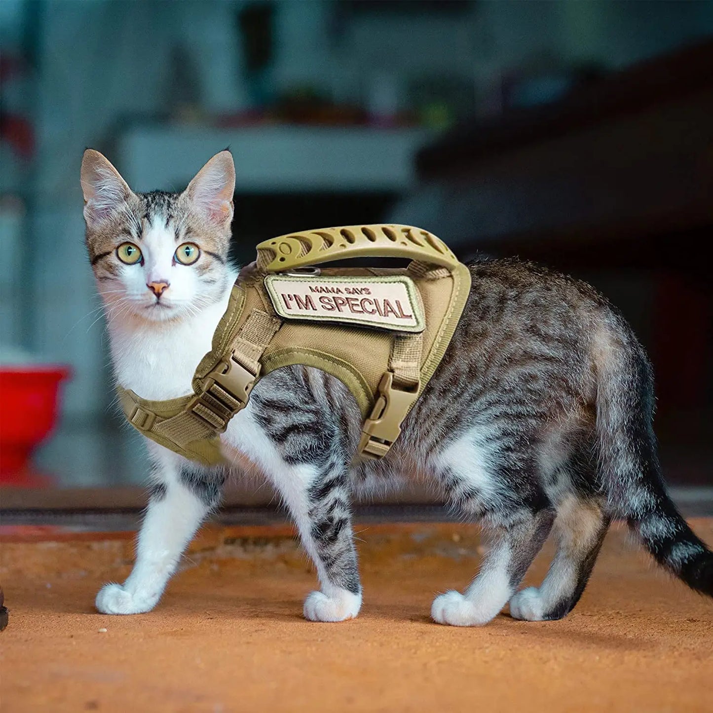 Adventure Cat Harness – Secure Vest with Leash & Patches