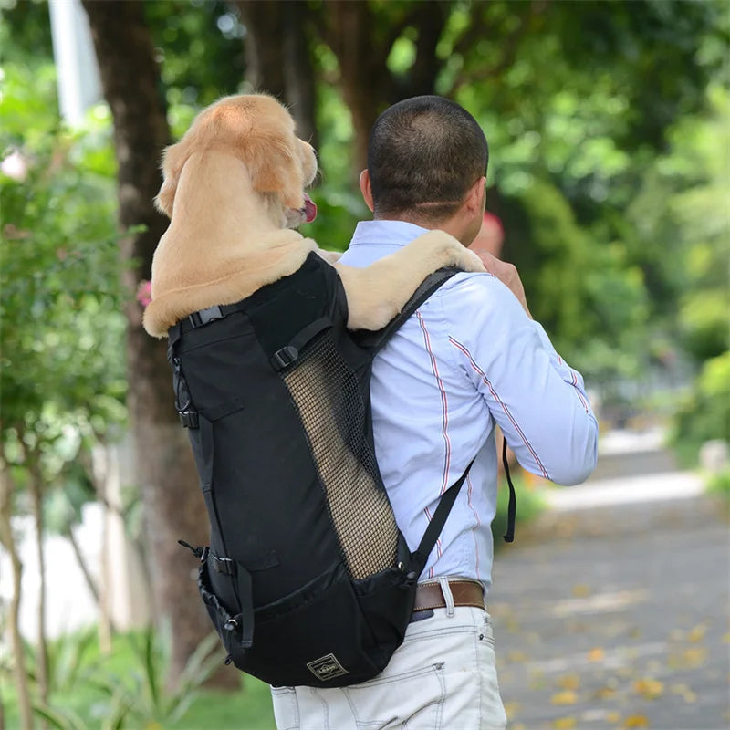 Adventure Dog Carrier Backpack – Safe Travel for Small & Medium Dogs