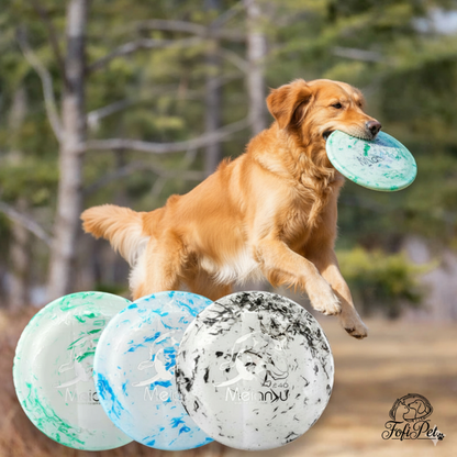 FofiPet interactive flying saucer toy – outdoor fun and exercise for active dogs