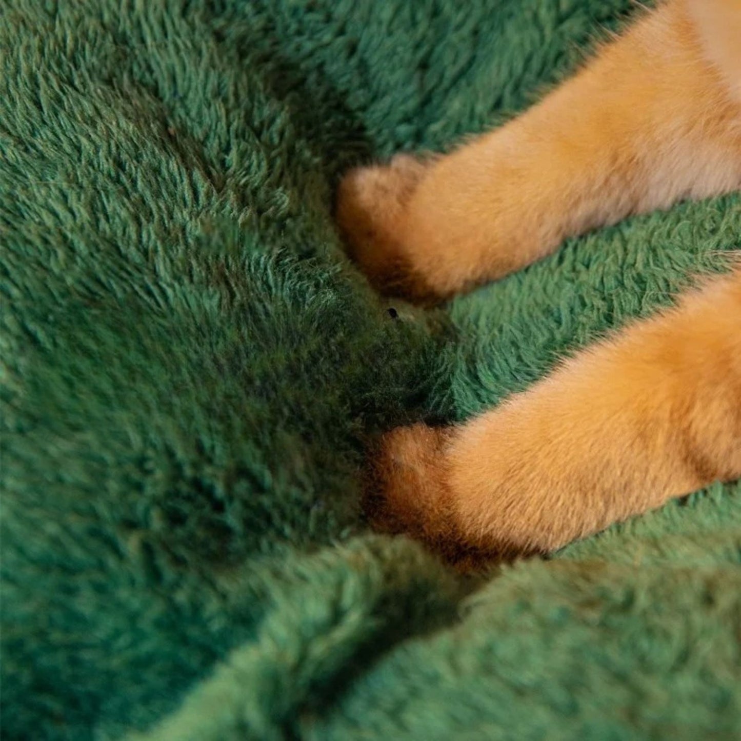 Autumn–Winter Plush Pet Nest – Washable, Warm & Designed for Rest