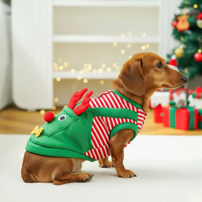 Soft cosy pet outfit for Christmas nights