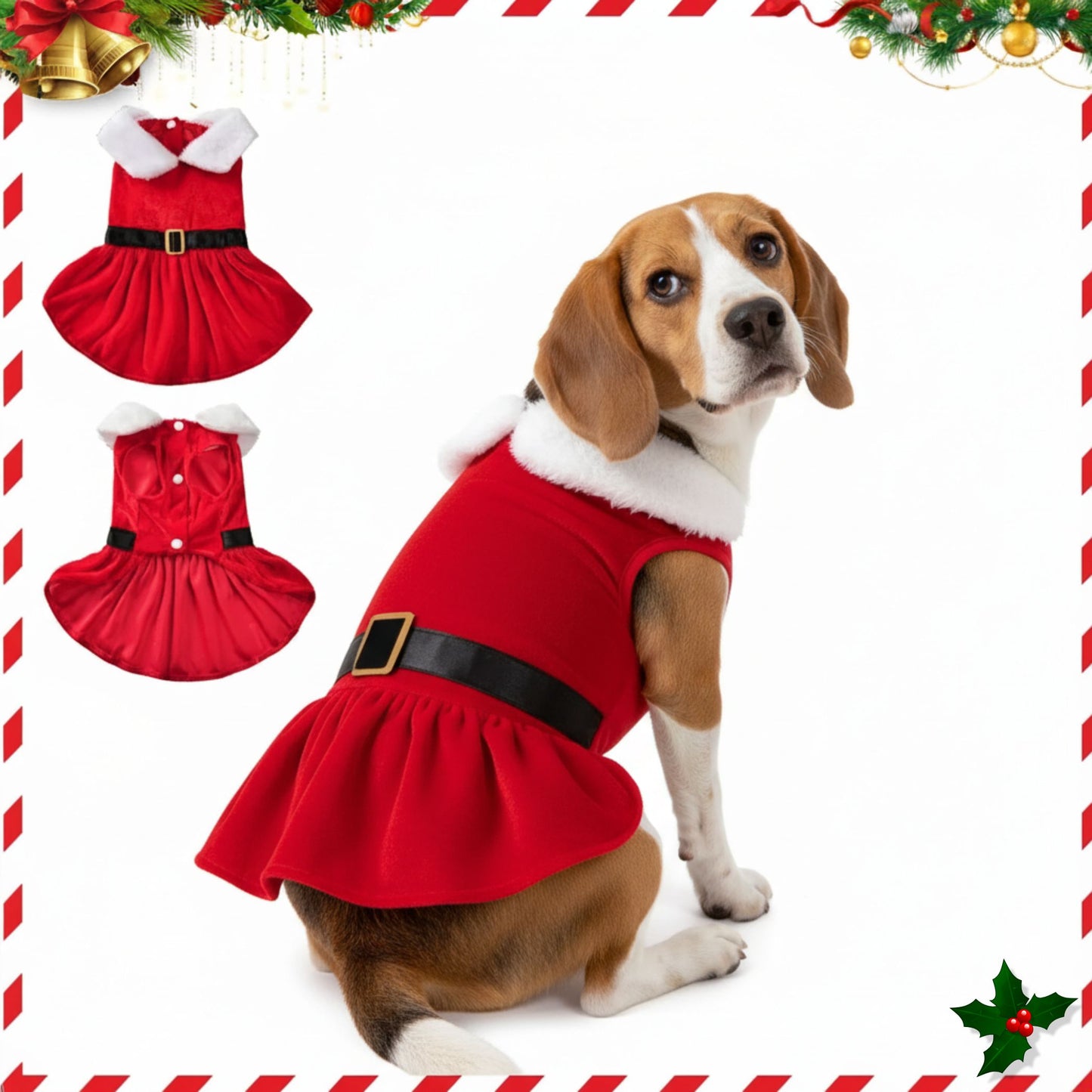 Close-up of soft velvet fabric and white trim from Santa pet outfit – cosy Christmas style for pets.
