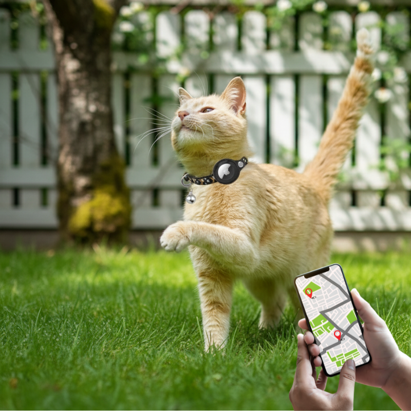 Soft nylon cat collar with celestial design, breakaway feature, and GPS tag holder