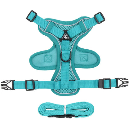 Breathable Mesh Pet Harness with Leash – Comfort and Safety in Every Adventure