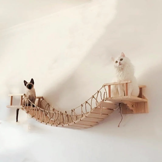 Interactive Cat Wall Furniture – Play, Scratch & Relax in Style
