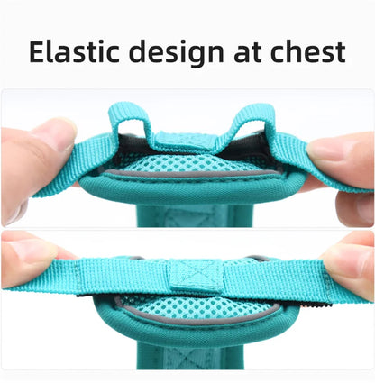 Breathable Mesh Pet Harness with Leash – Comfort and Safety in Every Adventure