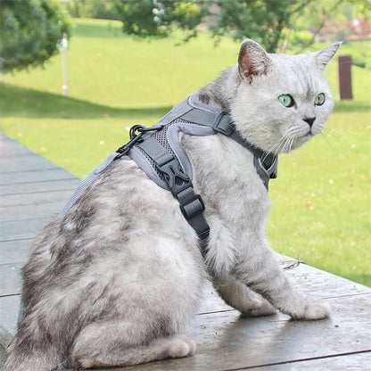 Breathable Mesh Pet Harness with Leash – Comfort and Safety in Every Adventure