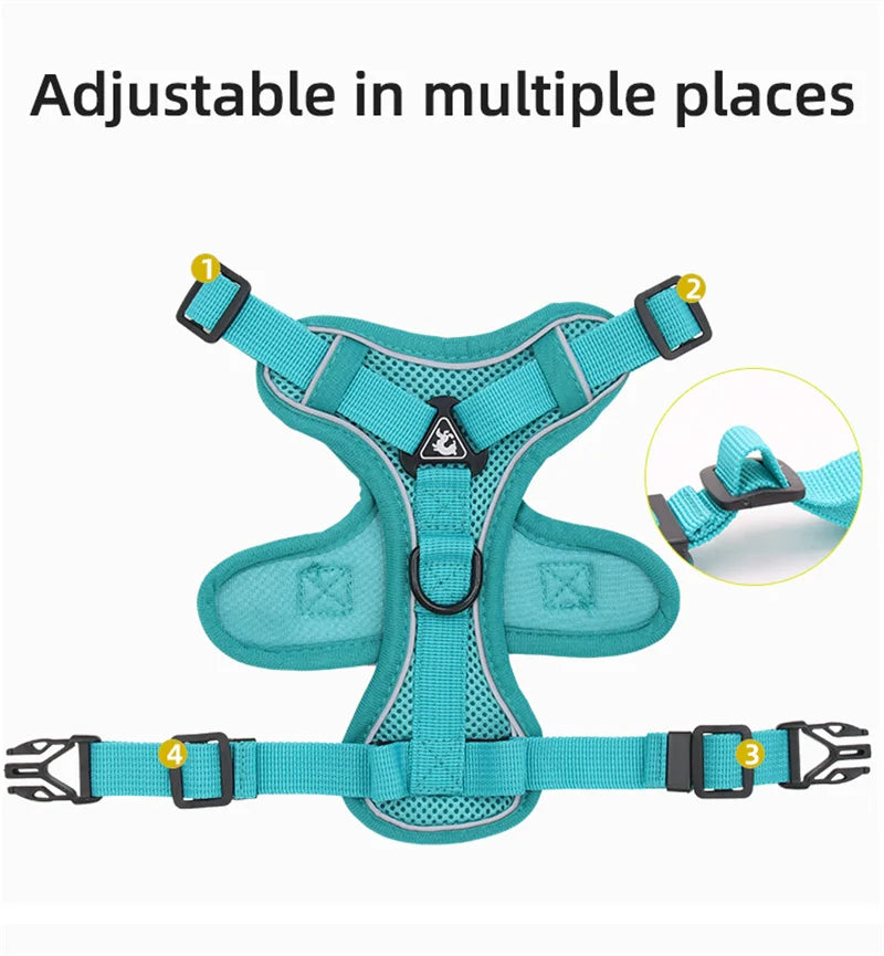 Breathable Mesh Pet Harness with Leash – Comfort and Safety in Every Adventure