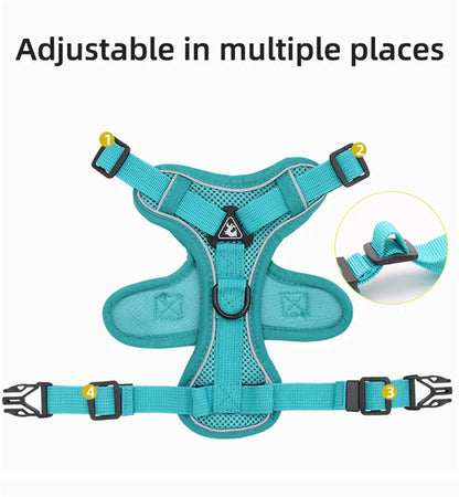 Breathable Mesh Pet Harness with Leash – Comfort and Safety in Every Adventure