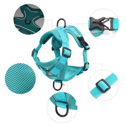 Breathable Mesh Pet Harness with Leash – Comfort and Safety in Every Adventure