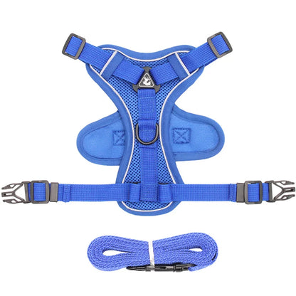 Breathable Mesh Pet Harness with Leash – Comfort and Safety in Every Adventure