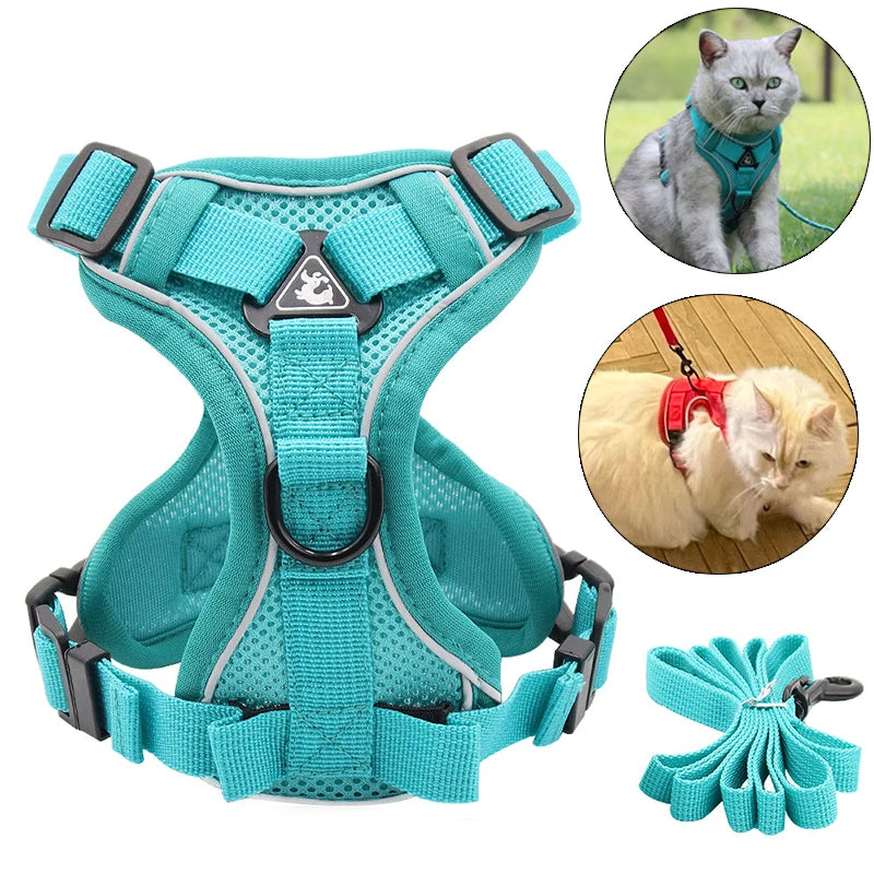 Breathable Mesh Pet Harness with Leash – Comfort and Safety in Every Adventure