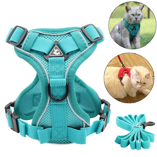 Breathable Mesh Pet Harness with Leash – Comfort and Safety in Every Adventure