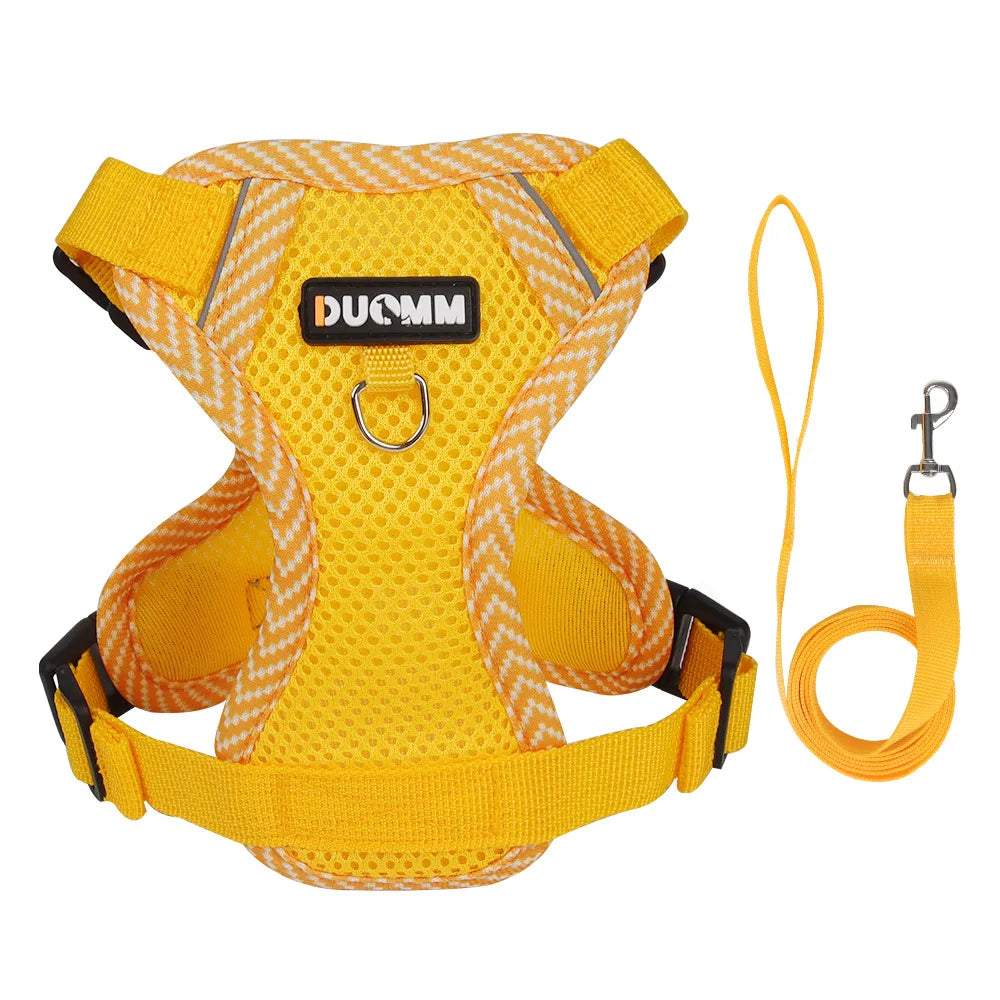 Breathable Mesh Pet Harness with Leash – Comfort and Safety in Every Adventure