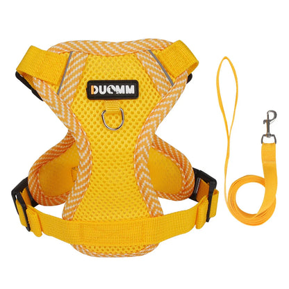 Breathable Mesh Pet Harness with Leash – Comfort and Safety in Every Adventure