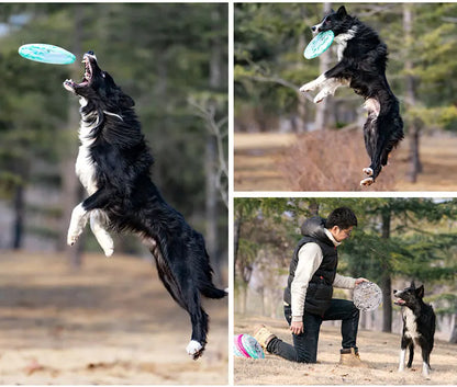 Interactive Pet Flying Saucer – Outdoor Fun for Active Dogs