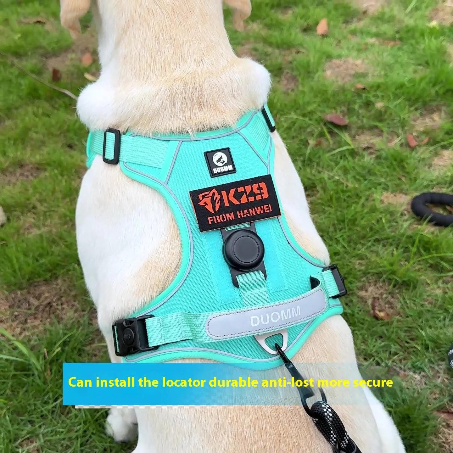 No-Pull Pet Harness with GPS Compatibility – Safe Walks for Big Dogs
