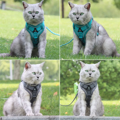 Breathable Mesh Pet Harness with Leash – Comfort and Safety in Every Adventure