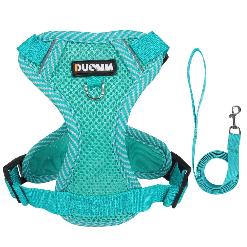 Breathable Mesh Pet Harness with Leash – Comfort and Safety in Every Adventure