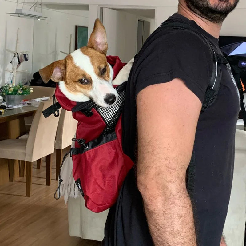 Adventure Dog Carrier Backpack – Safe Travel for Small & Medium Dogs