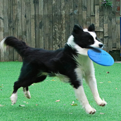 Dog Training Disc – Fun & Fitness in Every Flight