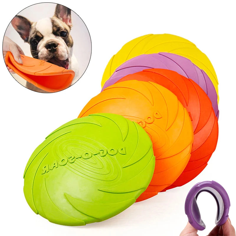 Dog Training Disc – Fun & Fitness in Every Flight