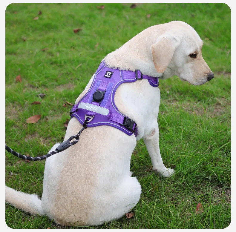 No-Pull Pet Harness with GPS Compatibility – Safe Walks for Big Dogs