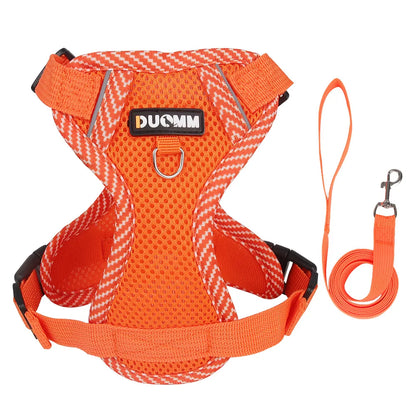 Breathable Mesh Pet Harness with Leash – Comfort and Safety in Every Adventure