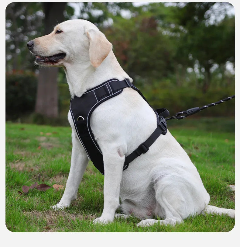 No-Pull Pet Harness with GPS Compatibility – Safe Walks for Big Dogs