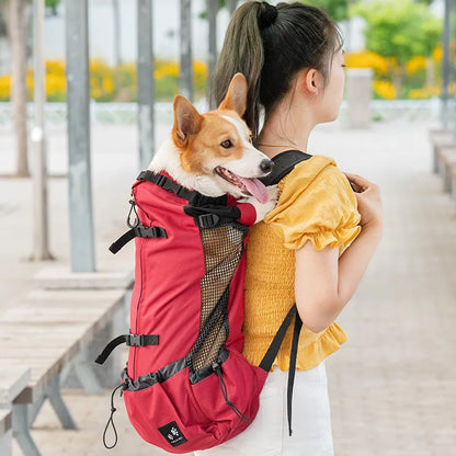 Adventure Dog Carrier Backpack – Safe Travel for Small & Medium Dogs