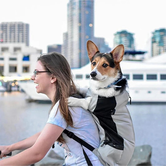 Adventure Dog Carrier Backpack – Safe Travel for Small & Medium Dogs