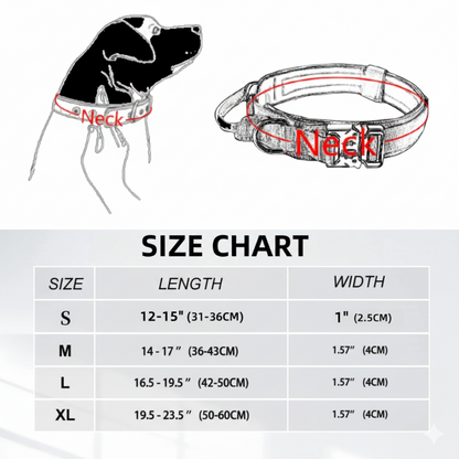 Adjustable Pet Collar with AirTag Case – Durable Nylon Design with Secure Metal Buckle